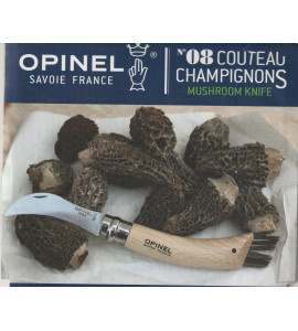 CHAMPIGNONS OPINEL